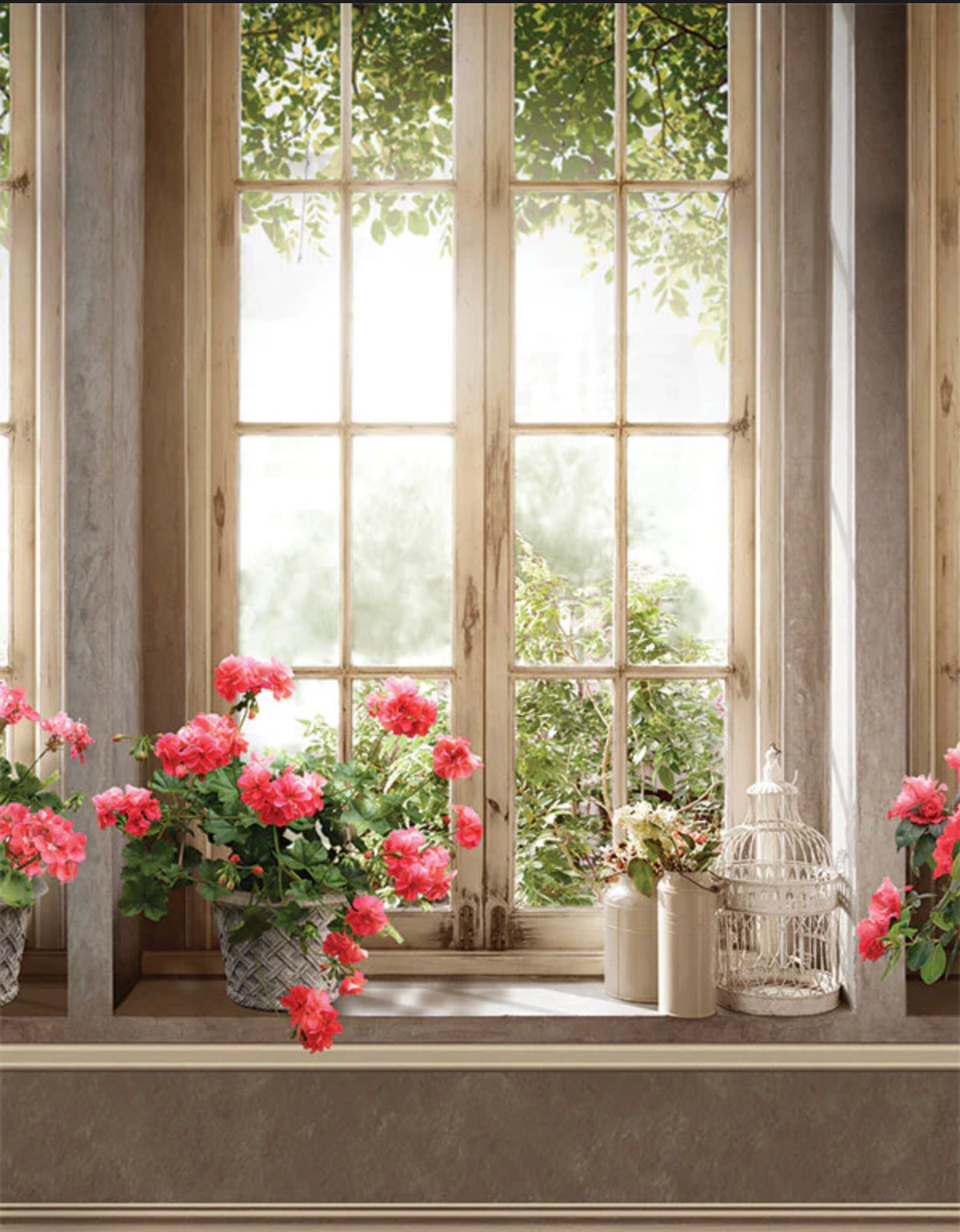 Light Spring studio backdrop