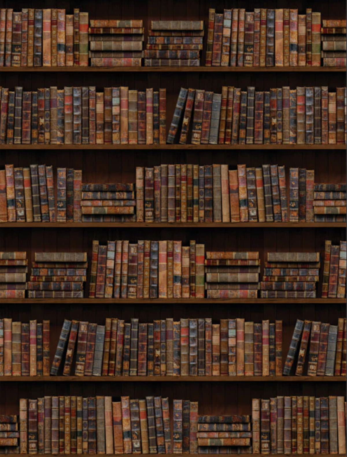 Books studio backdrop