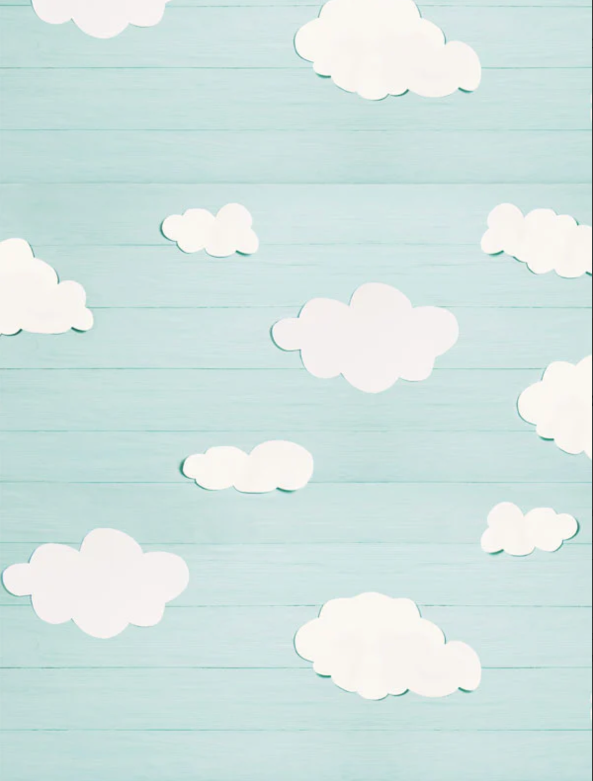 Blue Clouds studio backdrop